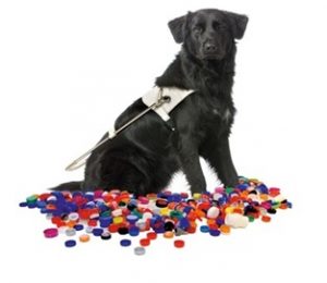 Geleidehond